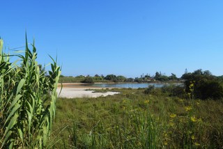 Pantano Ponterio